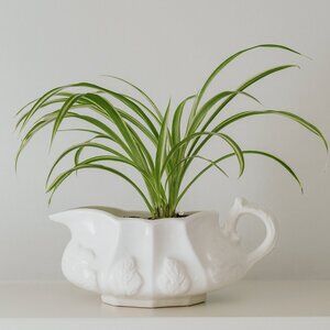 Red-Cliff Ironstone White Gravy Boat Planter Flower Vase Raised Leaf Pattern